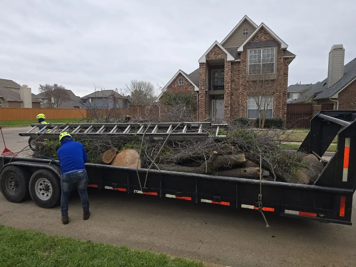 Expert Lot Clearing with proper safety equipment in Ragan
